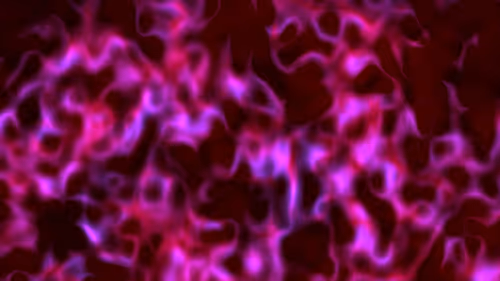 Item #28276157551077297175944571750841174861794122548634016422838008131676394225695 Media