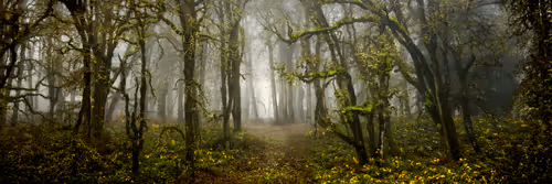 Item #47733538281398589330218628684825824381891858980071157568895890255678988615700 Media