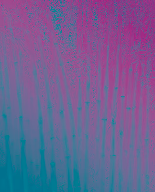 Item #70929269914002233214721006976994020300964355006950009368688202635333030903828 Media