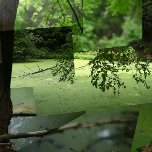 Item #41615848005952287540041746482637292976806145557506776839727082483065257197569 Media