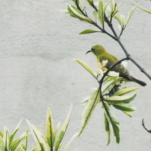 Item #94394910353456792511770389683380397167058265892134190948053464644963864150017 Media