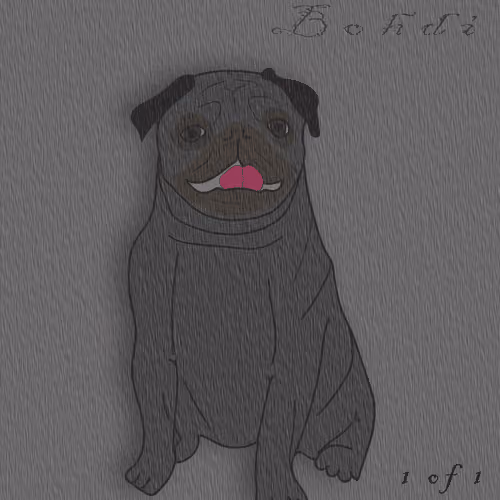 Bohdi