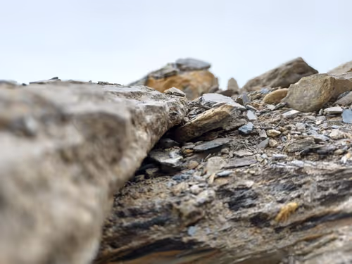 Item #32708508987210996203505439108186848896243903998336501445034175514524463923201 Media