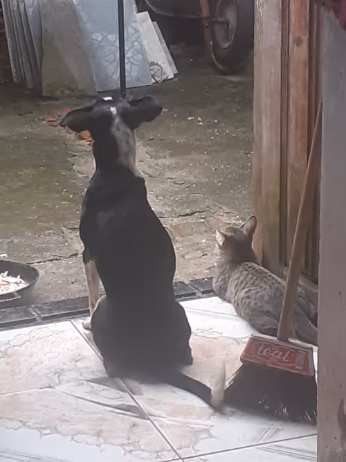 Item #4206968959528382267850550168117913088191590325513865346546053362653388079105 Media