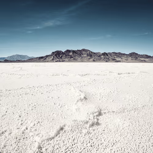 Item #32558095243407965837302245570268242954895421549699099484669284072550083592193 Media