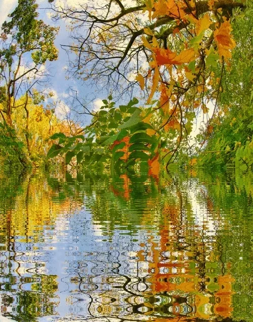 Item #33273431064062745158281459223994481396408298461003960329838769740410532134917 Media