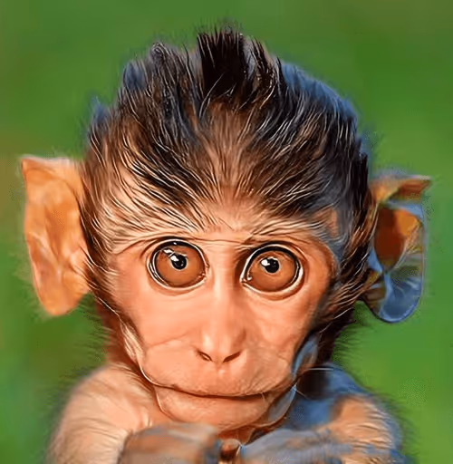 Item #34642077332131208007519050687242423492836830929204914454855370866797555220481 Media