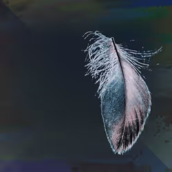 72932321608233697749117711298000337470595698923978217717692158246156454854657