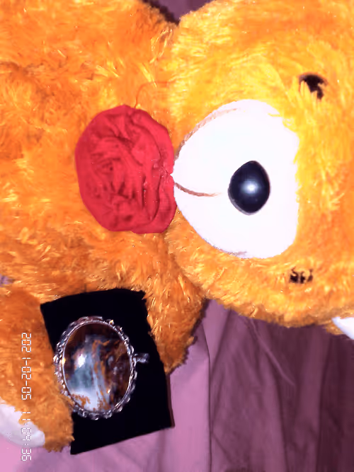 Item #85454646338485558443310351473087865046611338664231792713887202123585607958538 Media