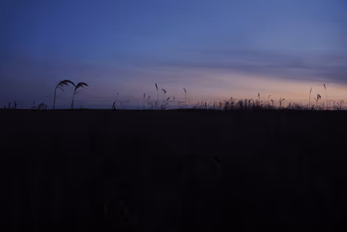 Item #87176501403928380168498398811960935080748737073158175460079780479141263966209 Media