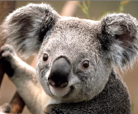 Untitled Collection #3040530092