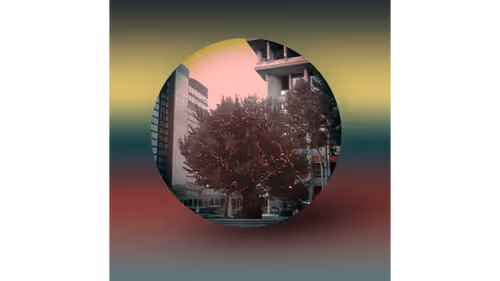 Item #108011531238030277319797552781278289377881865795939671666305033608916589608961 Media