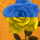 114771482431574273466723882287168648072541368547089315074162523091373616267265