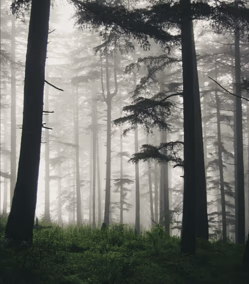 Item #61674817158369570074812173308133646434472829934339960245791451963313805590529 Media