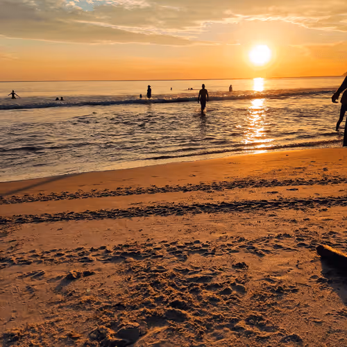 Item #76789129689388299706655966014022744743344792406865654046008114607070772199425 Media