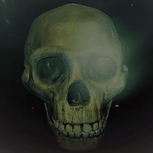 Untitled Collection #91596135