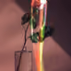 110062288756784527266211841263458394124448533674483060598230671771057126375425