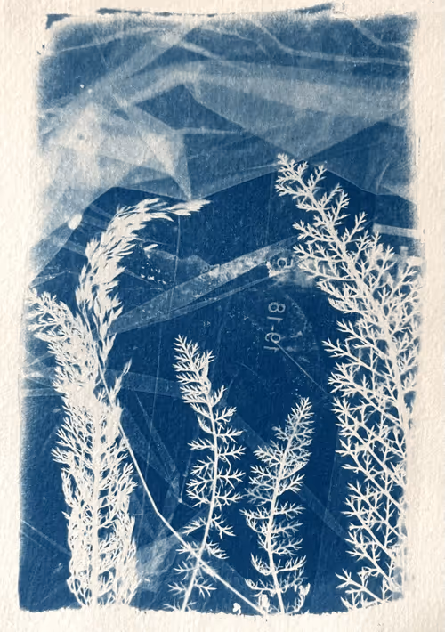 Item #79708962715556691089278777526445721574606898875148265995553784928211021332481 Media