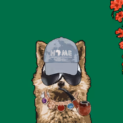 13313825994980351745506845005889443412334519340224243119891181326647685021697