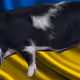 53180631642456764738139299674940583640479914081960747744151194863612052111361