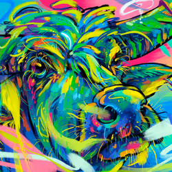 7213337052716479871391593270434983953929854580287828211677807366225770053932