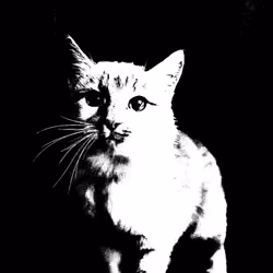 Silho #4 - Cat Alone