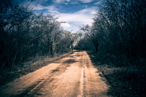 Item #101575229607926485862469706425422547905702674538468073786273286321398179954693 Media