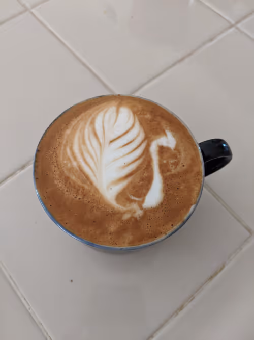 Item #12319963093985835683267770767399022846869396861358140790008071181300569997322 Media