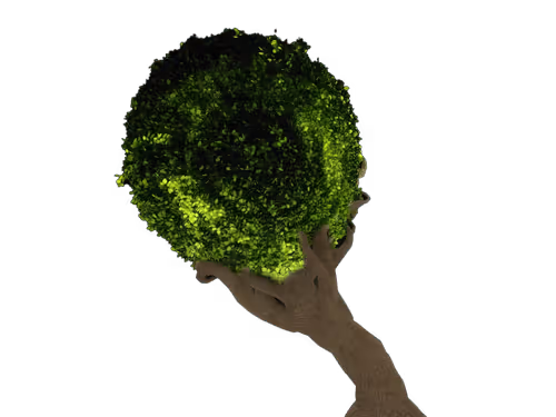 Item #96556919498889397774313393585935910974991317057561549819289360895570106908673 Media