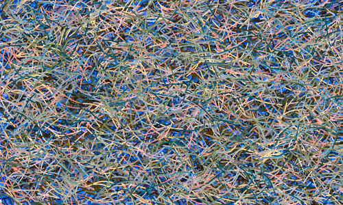 Item #37671797252818830032645010018488858802778721291022166209366081436672371720193 Media