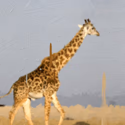 11276162529628641556553056529614973332754405277106184420845745029019730968577