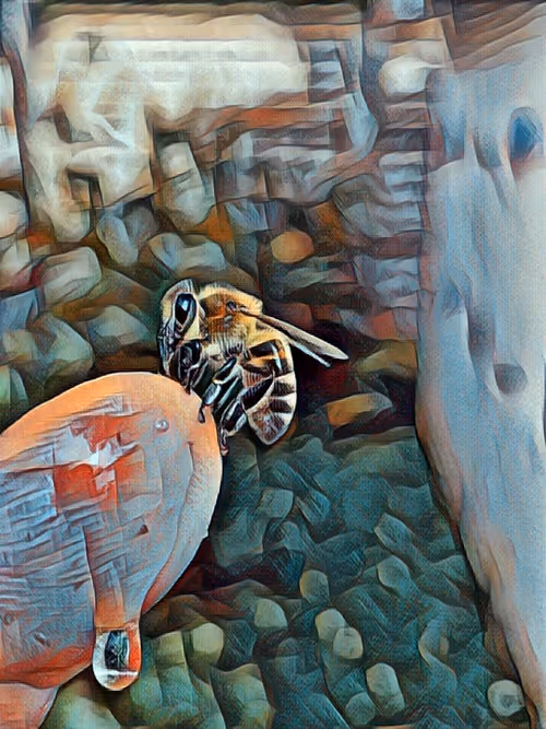 Item #101599579626109009666607068920778550362968334718480795982881728434182129975297 Media