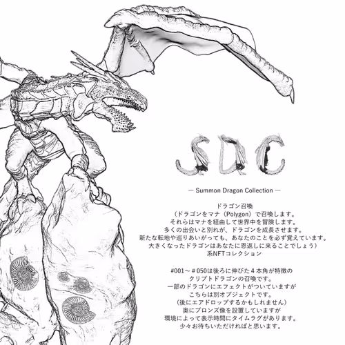 Untitled Collection #244972021