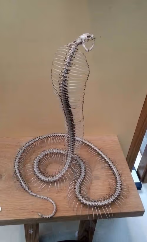 Item #48338169471518079153650026035400331441397173481150452332129283062016436600833 Media