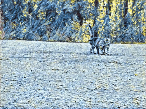 Item #46397680814911453718365897270123246439130732684861044295736255975860062912513 Media