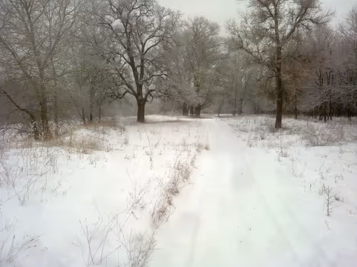 Item #41983459946325006344850038724007157971914249844141491949312563104525603307521 Media