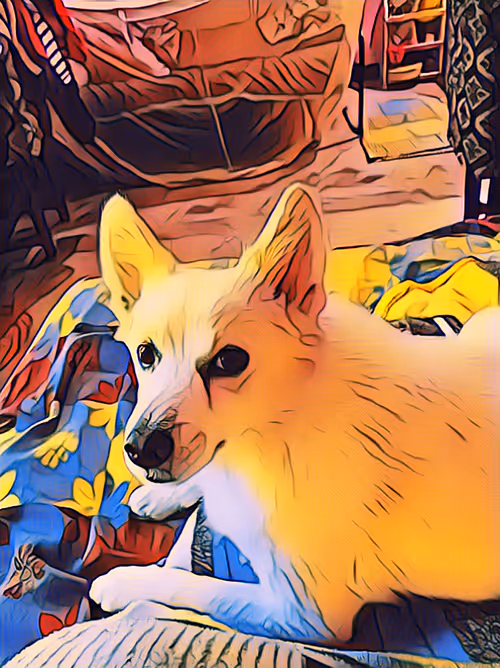 Item #23031905959659156565911612666946688064841237418599874939543073613468959506433 Media