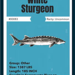 11587606933288487233709956499563114652187662415934773553861794766933928706049