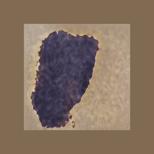 Item #103173799601382394656093791528423317692913802616819247326072395743169446150145 Media