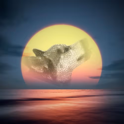 8170502872473576009744967694958962341645143278348359447102465426690525888562