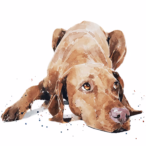 Item #15308155937593783866228062712704217529335676444312394672786838596333646905349 Media