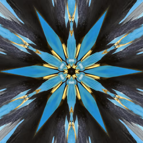 Item #112881076383788129306951985002951292499329158073037574705693288427313315184641 Media