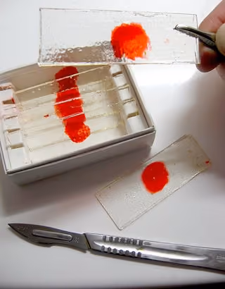 Dexter's Slides #0