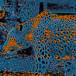 #0058