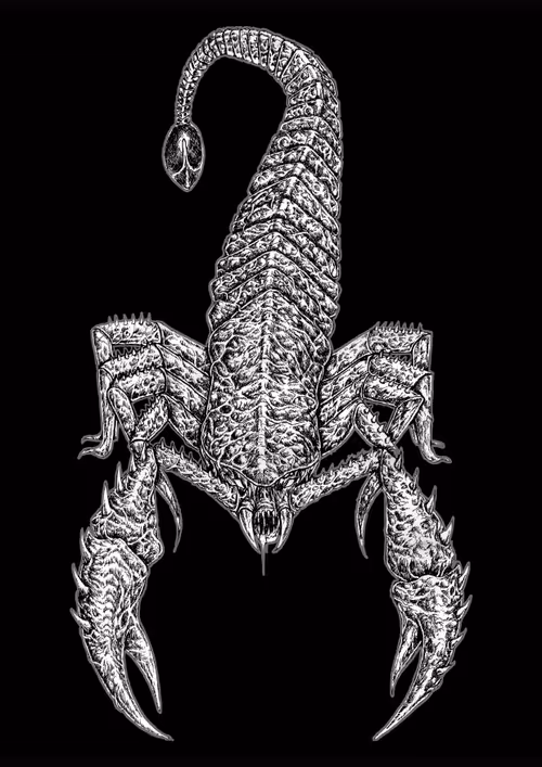 Item #56517327623533060018778309889321403956894590173429984081282614107829836972033 Media