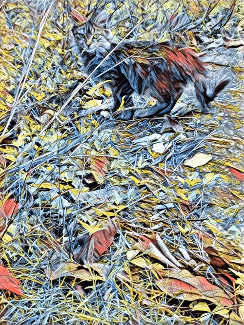 Item #46397680814911453718365897270123246439130732684861044295736255971462016401409 Media