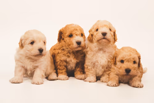 Item #1221306337100687933341799586999295926059352826216580485186700632528582082561 Media