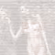 106982731858067520229424792429143997944543608774025774053009310288104526970881