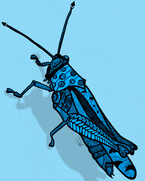 Item #2141876490357759120430650073325956874644020844603919275595865722527768641537 Media