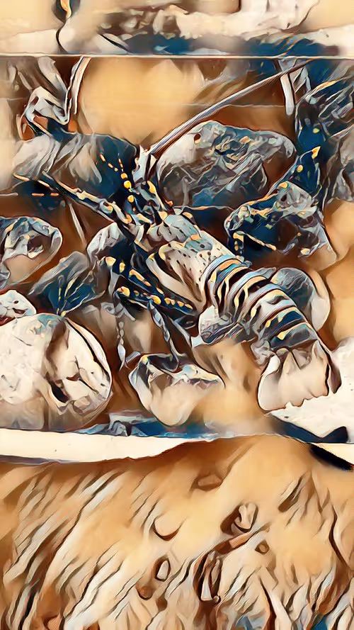 Item #112046021033654007241005822439757220181591102796162182186879994010301188014081 Media